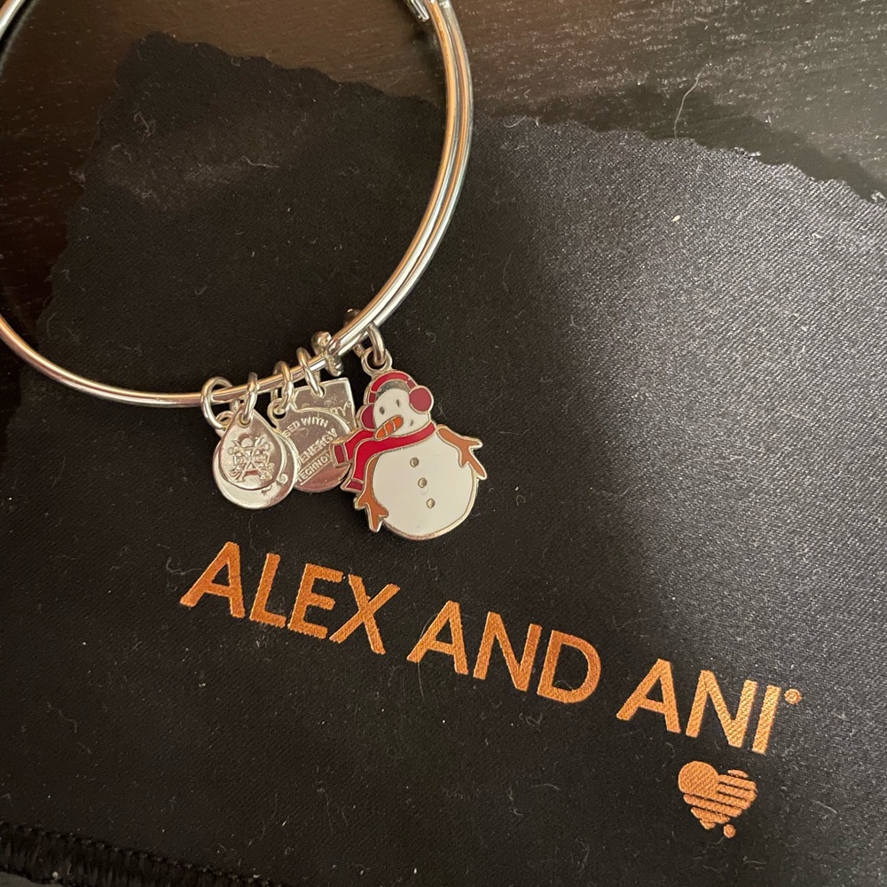 Alex and ani bracelet